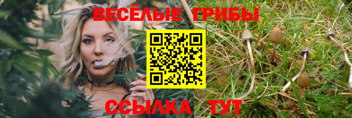Псилоцибиновые грибы мухоморы  Галлюциногенные грибы мицелий  Санкт-Петербург  Вход с VPN 